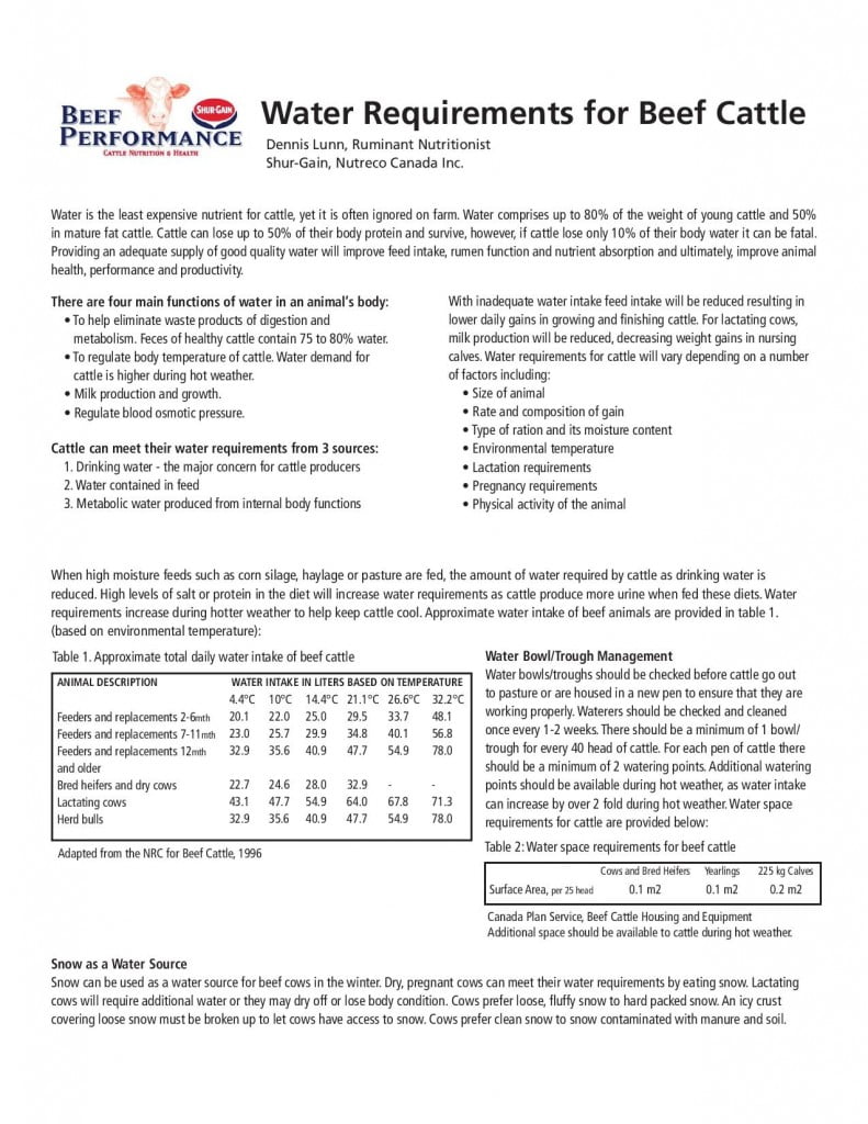 WATER REQUIREMENTS FOR BEEF CATTLE Wright's Feeds 'N Needs