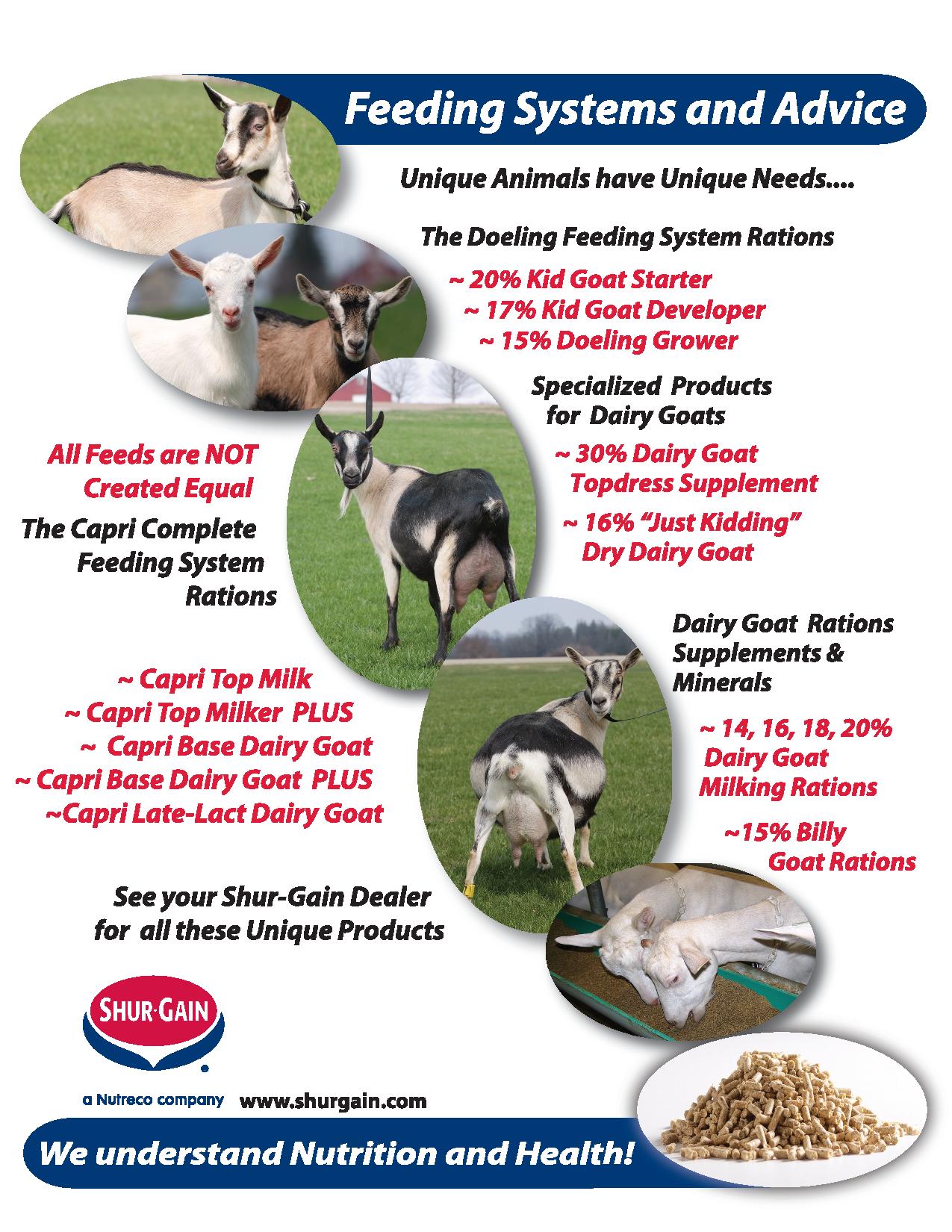 SHEEP/GOATS Wright's Feeds 'N Needs