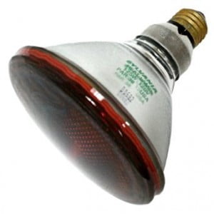 red heat lamp bulb
