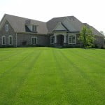 The Perfect Lawn pic 1