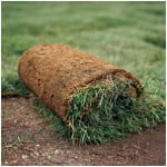 Laying Sod