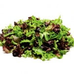 MESCLUN MIX