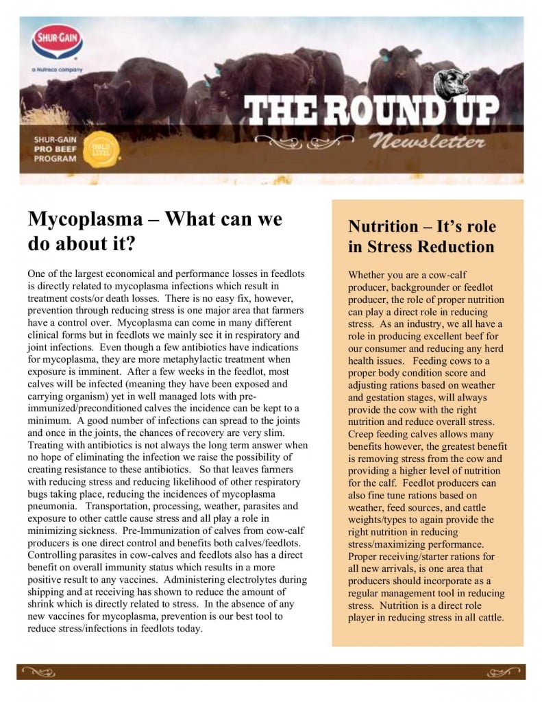 2015 03 -- Spring Beef Roundup Newsletter Shur-Gain-page-001