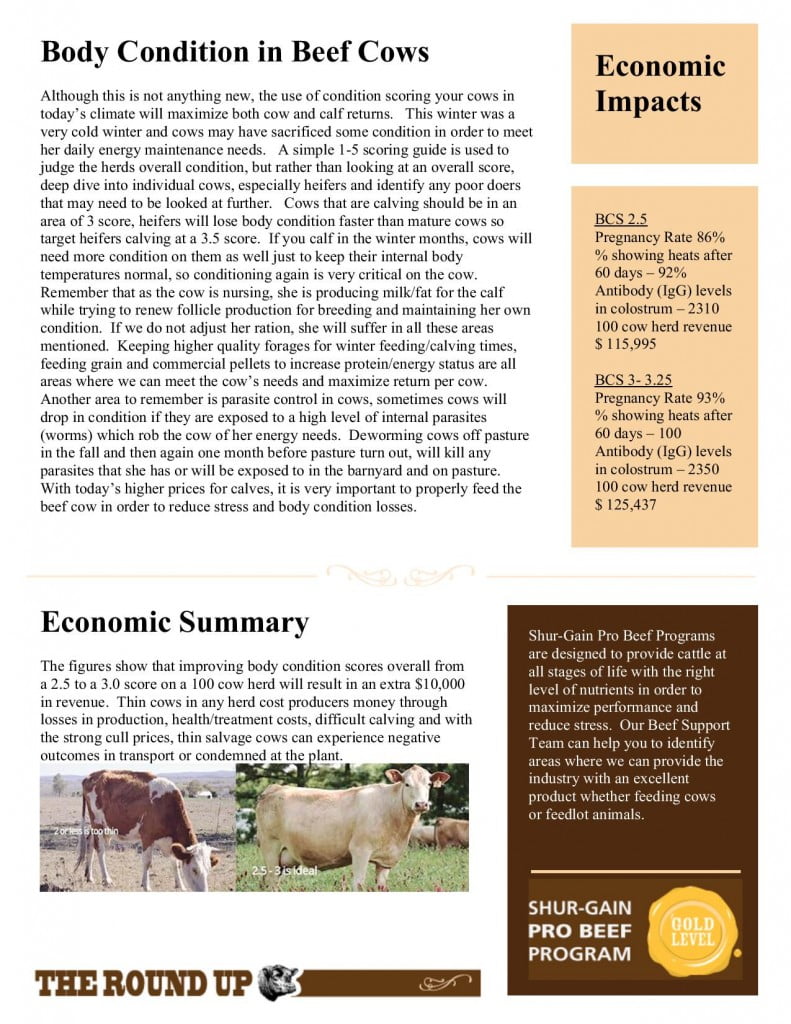 2015 03 -- Spring Beef Roundup Newsletter Shur-Gain-page-002